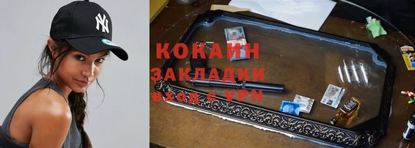 прущий лед Алзамай