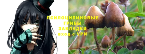 прущий лед Алзамай