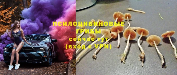 прущий лед Алзамай