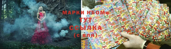 прущий лед Алзамай