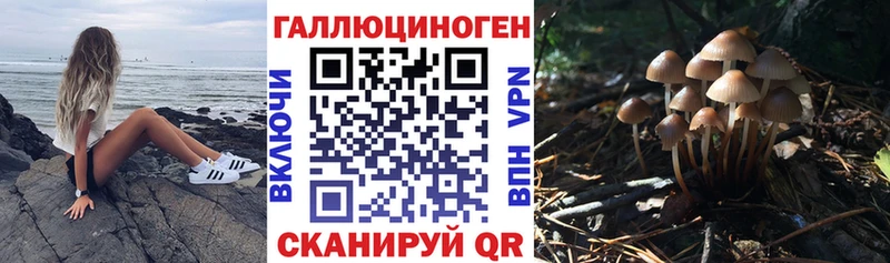 Галлюциногенные грибы GOLDEN TEACHER Ипатово